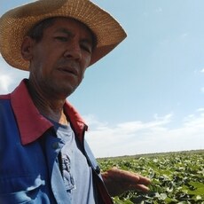 Фотография мужчины Khamidullo, 52 года из г. Туркестан