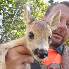 Фотография мужчины Сяргей, 47 лет из г. Березино