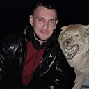 Всеволод, 35 лет