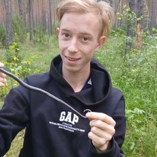 Фотография мужчины Andrey, 22 года из г. Советск (Кировская Область)