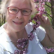 Фотография девушки Зинаида, 64 года из г. Ставрополь