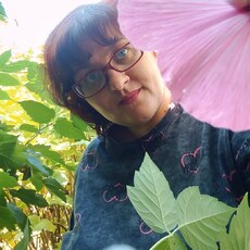 Фотография девушки Валентина, 40 лет из г. Иркутск