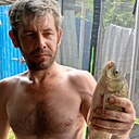 Денис, 38 лет