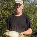 Саша, 53 года