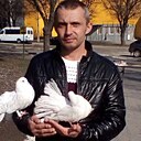 Александр, 43 года