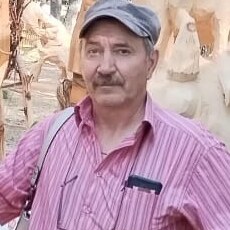 Фотография мужчины Алексей, 62 года из г. Томск