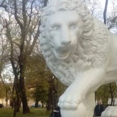 Фотография мужчины Mardon, 27 лет из г. Ташкент