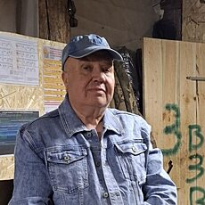 Фотография мужчины Василий, 63 года из г. Омск