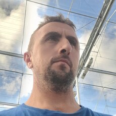 Фотография мужчины Vicol Mihai, 38 лет из г. Iași