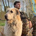 Роман, 29 лет