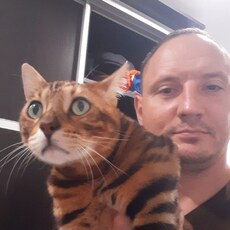 Фотография мужчины Сергей, 41 год из г. Балашов