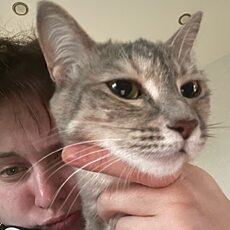 Фотография девушки Angela, 23 года из г. Благовещенск