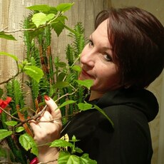 Фотография девушки Юлия, 40 лет из г. Абинск