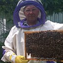 Владимир, 55 лет