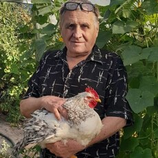 Васильевич, 65 из г. Волгоград.