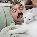 Александр, 52 года