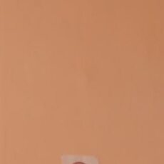 Фотография девушки Юлия, 20 лет из г. Барнаул