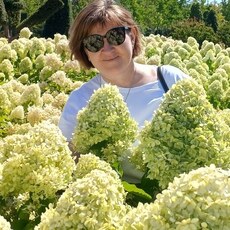 Фотография девушки Olga, 55 лет из г. Краснодар