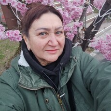 Фотография девушки Светлана, 63 года из г. Белгород