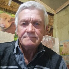 Фотография мужчины Валера, 69 лет из г. Зеленокумск