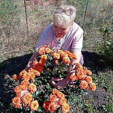 Фотография девушки Алена, 53 года из г. Ставрополь