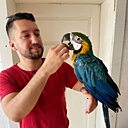 Андрей, 32 года