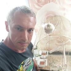 Фотография мужчины Алексей, 44 года из г. Альметьевск