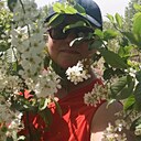 Елена, 46 лет