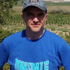 Фотография мужчины Mikhail, 52 года из г. Ржев