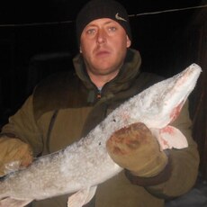 Фотография мужчины Николай, 35 лет из г. Мыски