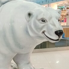 Фотография девушки Елена, 41 год из г. Мурманск