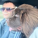 Сергей, 41 год