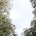 Александр, 56 лет