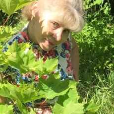 Фотография девушки Nadezda, 55 лет из г. Сочи