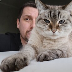 Фотография мужчины Роман, 33 года из г. Тюмень