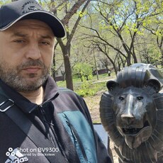 Фотография мужчины Сергей, 53 года из г. Киселевск