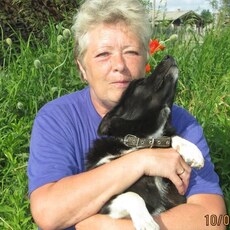 Фотография девушки Марина, 64 года из г. Вологда