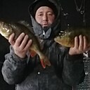 Дмитрий, 41 год