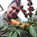 Владимир, 42 года