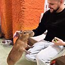 Артур, 39 лет