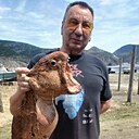 Роман, 62 года