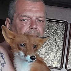 Фотография мужчины Сергей, 60 лет из г. Новосибирск