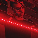 Владимир, 25 лет