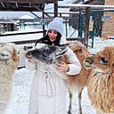 София, 51 год