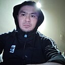 Сайга, 31 год