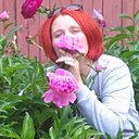 Алена, 40 лет