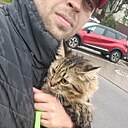 Николай, 36 лет