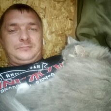 Фотография мужчины Виталий, 31 год из г. Белгород