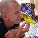 Анатолий, 33 года