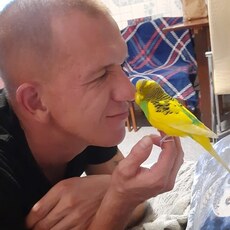 Фотография мужчины Анатолий, 33 года из г. Благовещенск